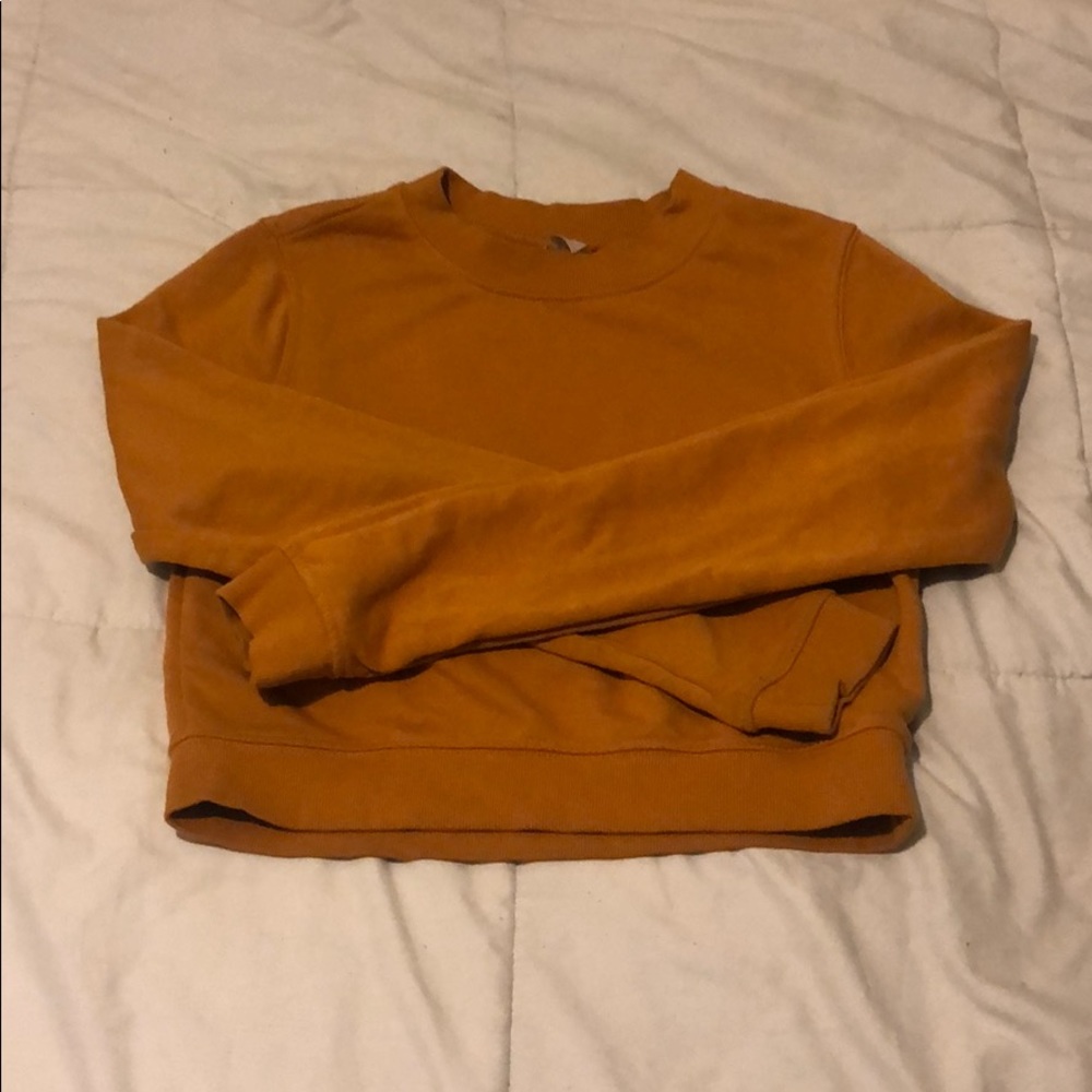 long sleeved crop top